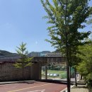 구문소마을 | 태백 가볼만한 곳 365세이프타운 2천원 입장권 후 2만원 소고기 먹자!