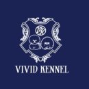 퍼피 비비드(puppy vivid) 이미지