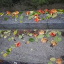 화정박물관 이미지