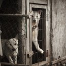 토리농장 이미지