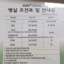 아인인트로