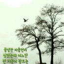 7080민들레라이브카페