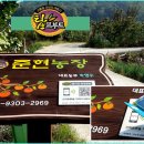 김순재농장 이미지