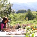 구미가 당기다 이미지