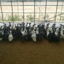 동녁골 농장 이미지