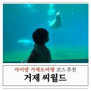 씨월드 | 아기랑 거제도여행 실내 가볼 만한 곳 거제씨월드 방문 후기