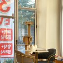 다옴헤어 이미지