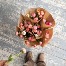 화훼장식 기능사 이미지