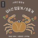 ＜피로회복, 기력증진 수산물＞ 손질장어, 성게알, 돌문어, 완도전복 ,꽃게, 멍게, 뿔소라 택배 이미지