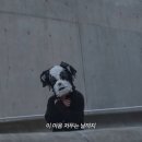 하나케이(주) - 249 | 하나케이(주)