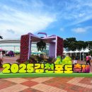 대한법률구조공단 김천출장소 | 김천 가볼만한곳 2025김천포도축제 후기 달콤 유혹 샤인머스캣