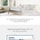 스프링탑 이미지