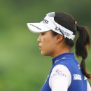 윤이나개 이미지