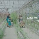 동천안농협 하나로마트 이미지