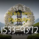 광주남문장례식장 | 광주남문장례식장 근조화환 실시간 추적 모두의꽃 화환 추천 신속 배송 배달