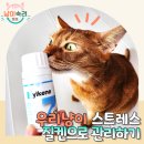 그루밍포유 | 고양이 스트레스완화보조제 질켄 4냥이집 긴장 완화 필수템
