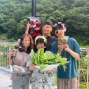 엄마방민박 이미지