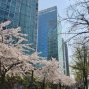 셀럽스테이송도 | [내돈내산] 송도 호캉스 &#34;셀럽스테이송도&#34; 후기
