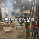 하늘소풍 | 평택 캠핑장 추천 소풍 동물원 예약방법 가격 후기