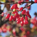 팔팔한의원 이미지