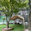 실로암 | 가평 단체펜션 실로암펜션 내돈내산 솔직후기 재방문은 글쎄