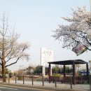 (주)퍼니펫 네이버블로그