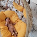 오복지 펜션 이미지