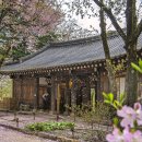 호텔정관루별관(게스트하우스) 이미지