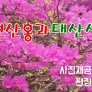 태산사 Daum카페