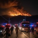 안태초등학교 이미지