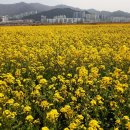 개금시영아파트 이미지