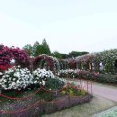 곡성-147 이미지