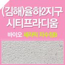 시티프라디움 이미지