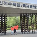 구름목공방 | (2026.6.14)인천대공원 목재문화체험장 구름나무놀이터