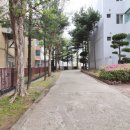송강마을공인중개사사무소 이미지