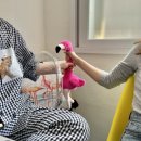 봄 플레이트 이미지