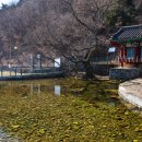 낙원이용소 이미지