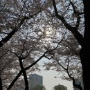 중리천로113번길 이미지