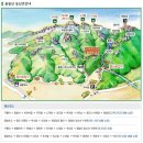 2023년 3월 12일 제 41차 정기산행 충남 홍성 용봉산(381m). 이미지