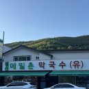 정선유치원 | 강원 정선 : 메일촌막국수 하이원 맛집 감자전 내돈내산 후기