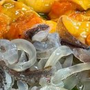 종일활어 이미지