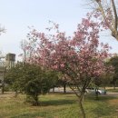 !전략 경영 연구에서 &#39;기회&#39;의 개념화