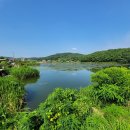 고막낚시터 이미지