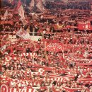 더콥(The kop)