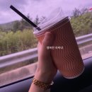 에스티칠십일 이미지