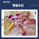 행정28 | [서현맛집] 28년 전통 땅끝수산에서 땅끝스페셜 A정식 솔직 후기