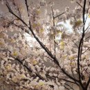 이성문한의원 이미지