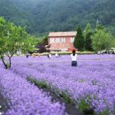 명식농장 이미지