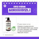 씨에이치월드 이미지