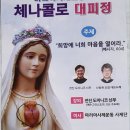 2025년 5월 24일 체나콜로 대피정(서울 동성고등학교) 9:30~17:00 이미지